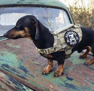 DOG & CROSSBONES Glow In The Dark Morale Patch - Image 6