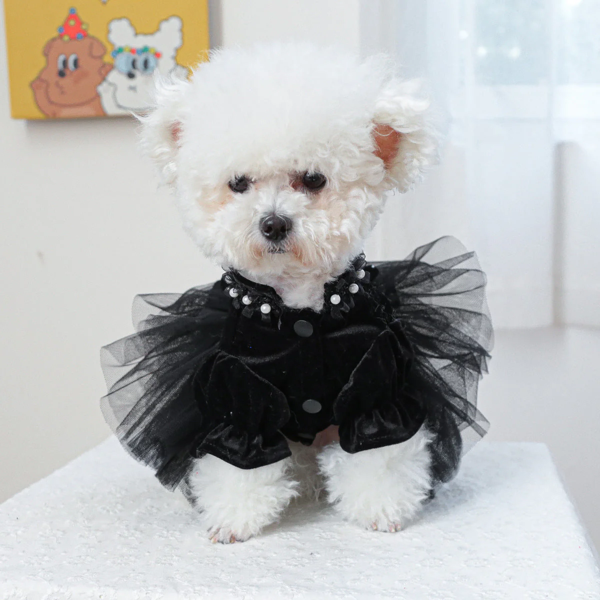 Dog dress black velvet rose - Image 2
