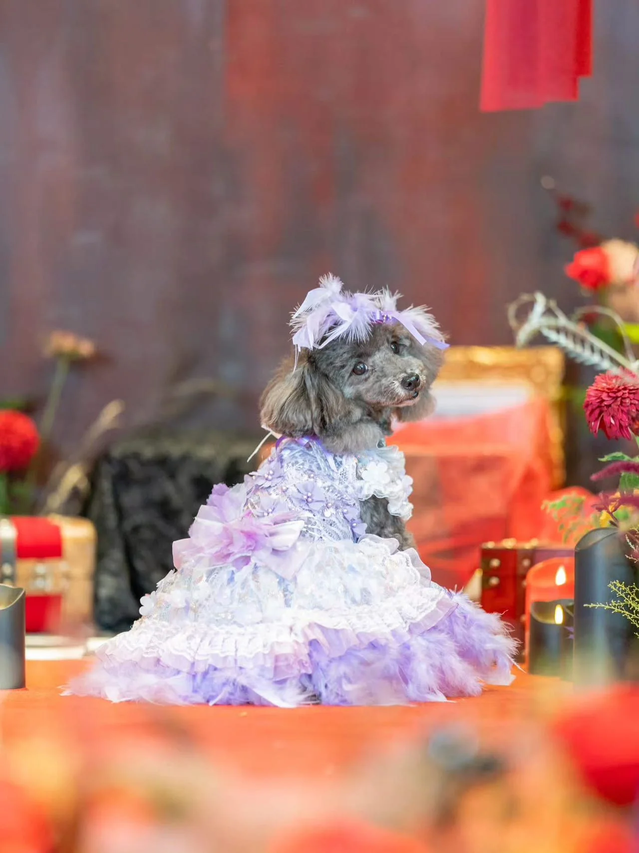 Dog Dress Feather Dream Princess Dress - Image 13