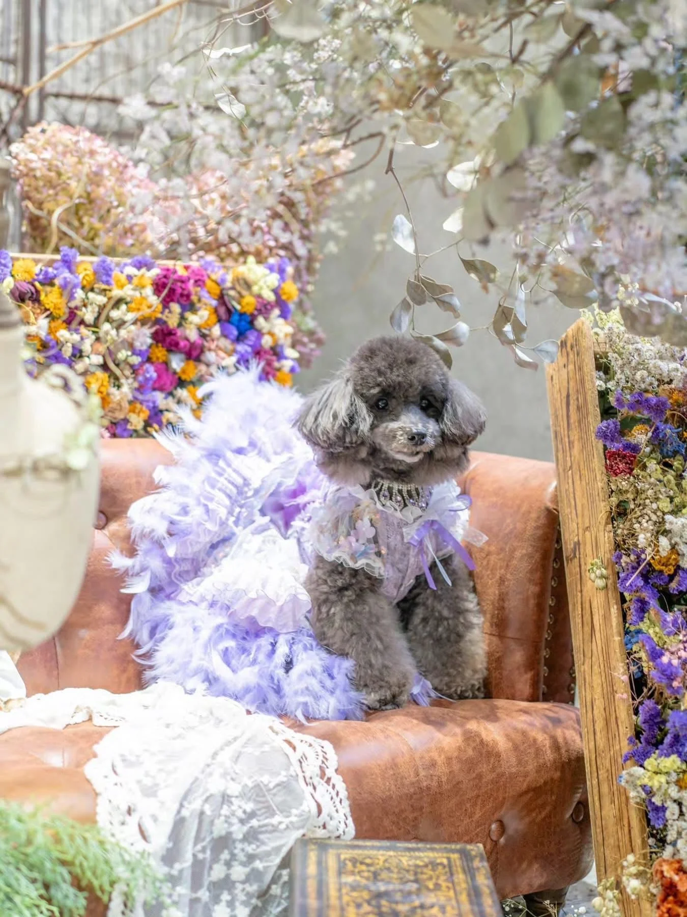Dog Dress Feather Dream Princess Dress - Image 16