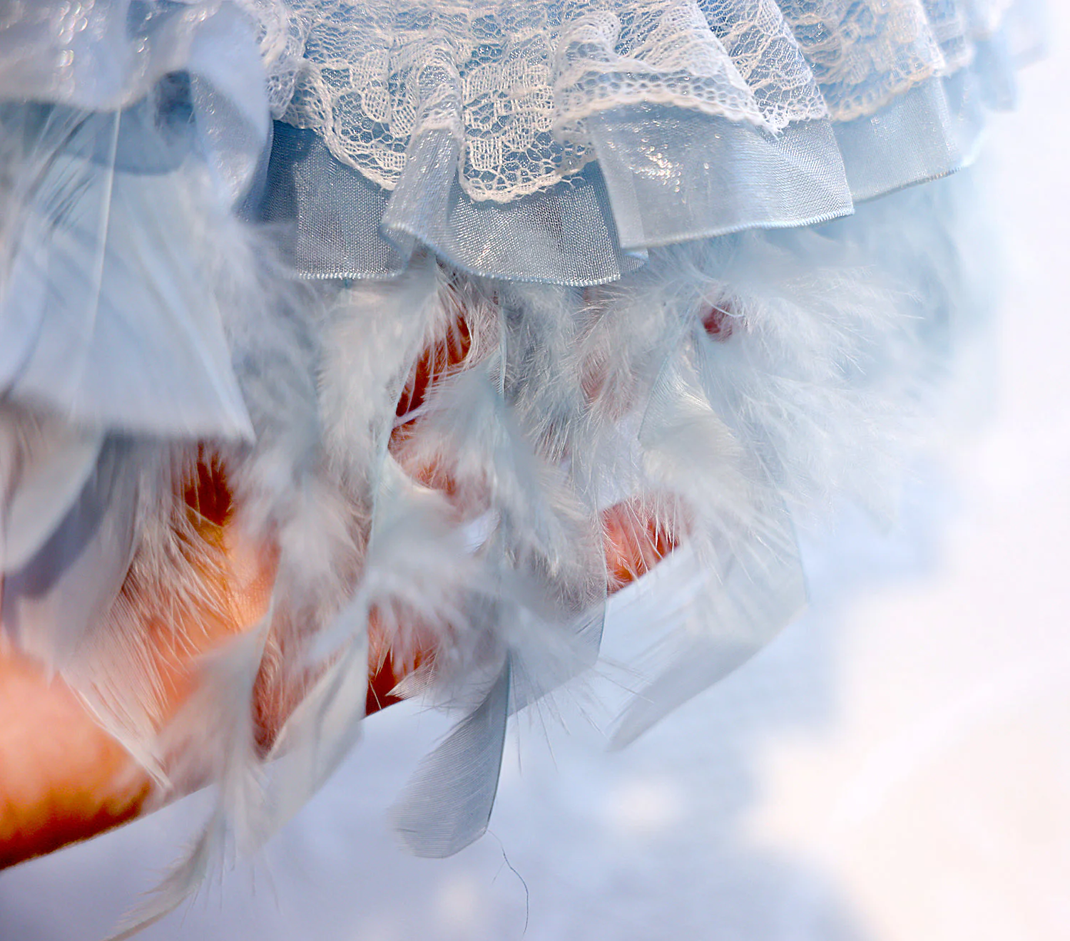 Dog Dress Feather Dream Princess Dress - Image 18