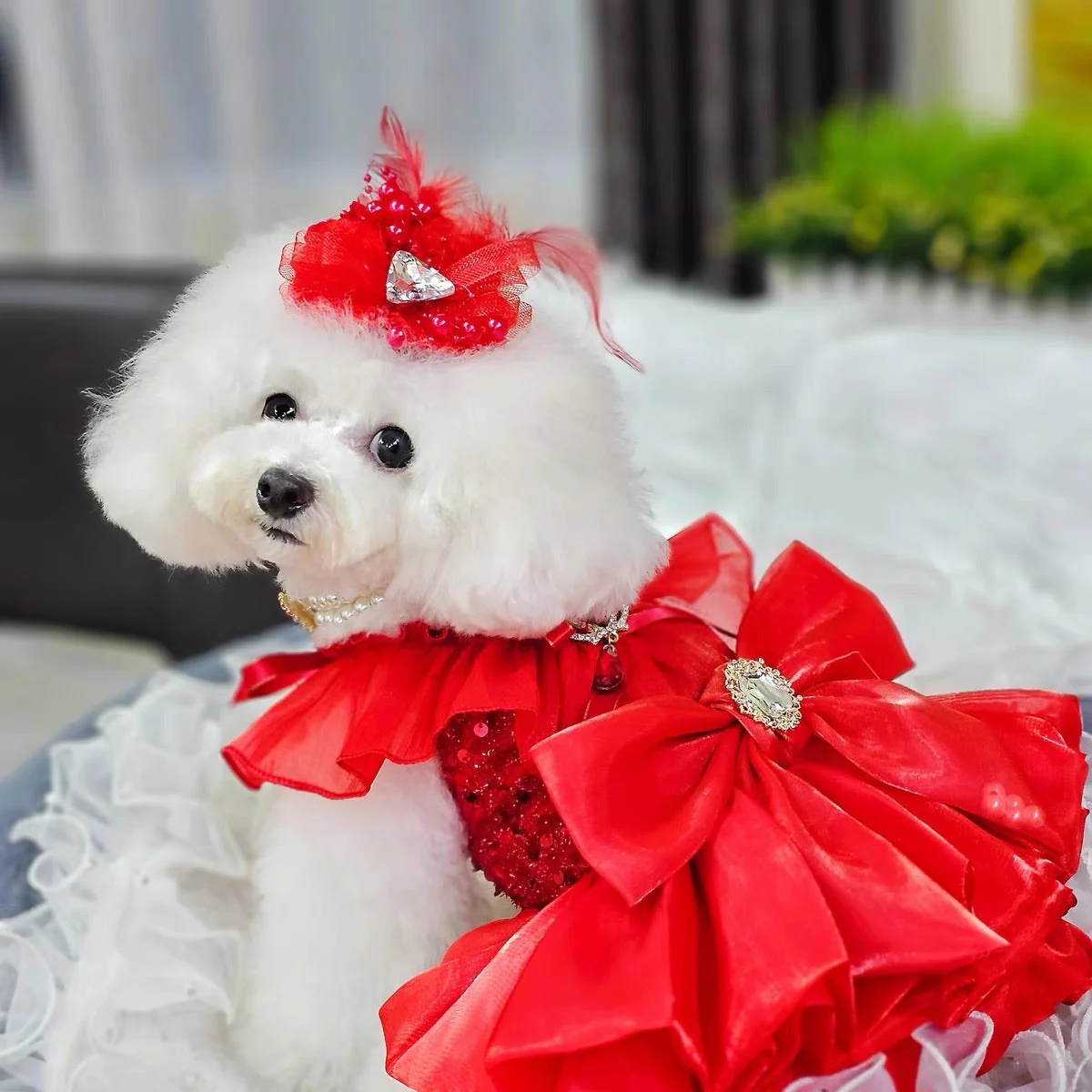 Dog Dress Red Princess with Layered Tulle Skirt - Image 3
