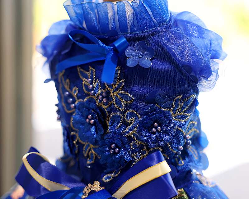 Dog Dress Royal Blue Blossom - Image 4