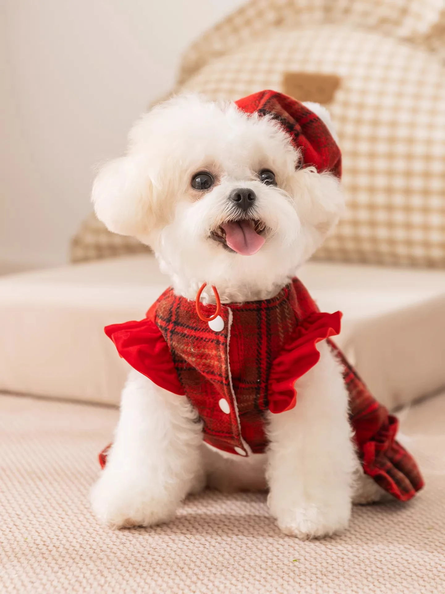 Dog Dress with Hat Warm Red Plaid - Image 3