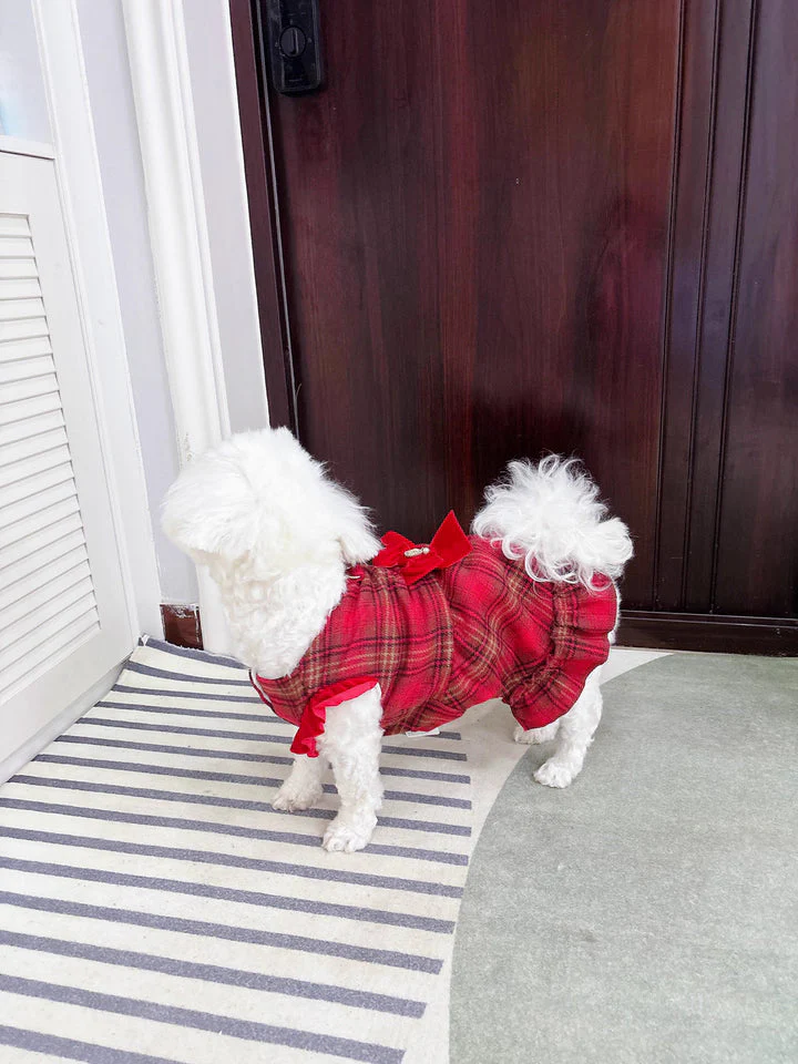 Dog Dress with Hat Warm Red Plaid - Image 4