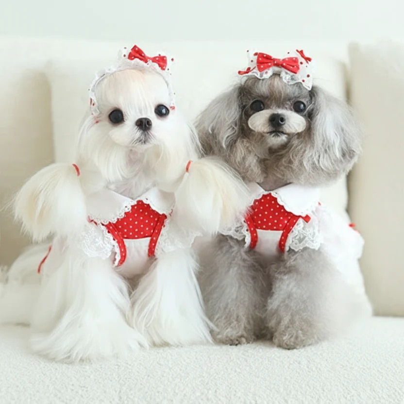 Dog  dresses 2-piece set red cute dot - Image 4