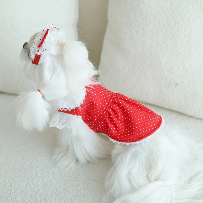 Dog  dresses 2-piece set red cute dot - Image 5