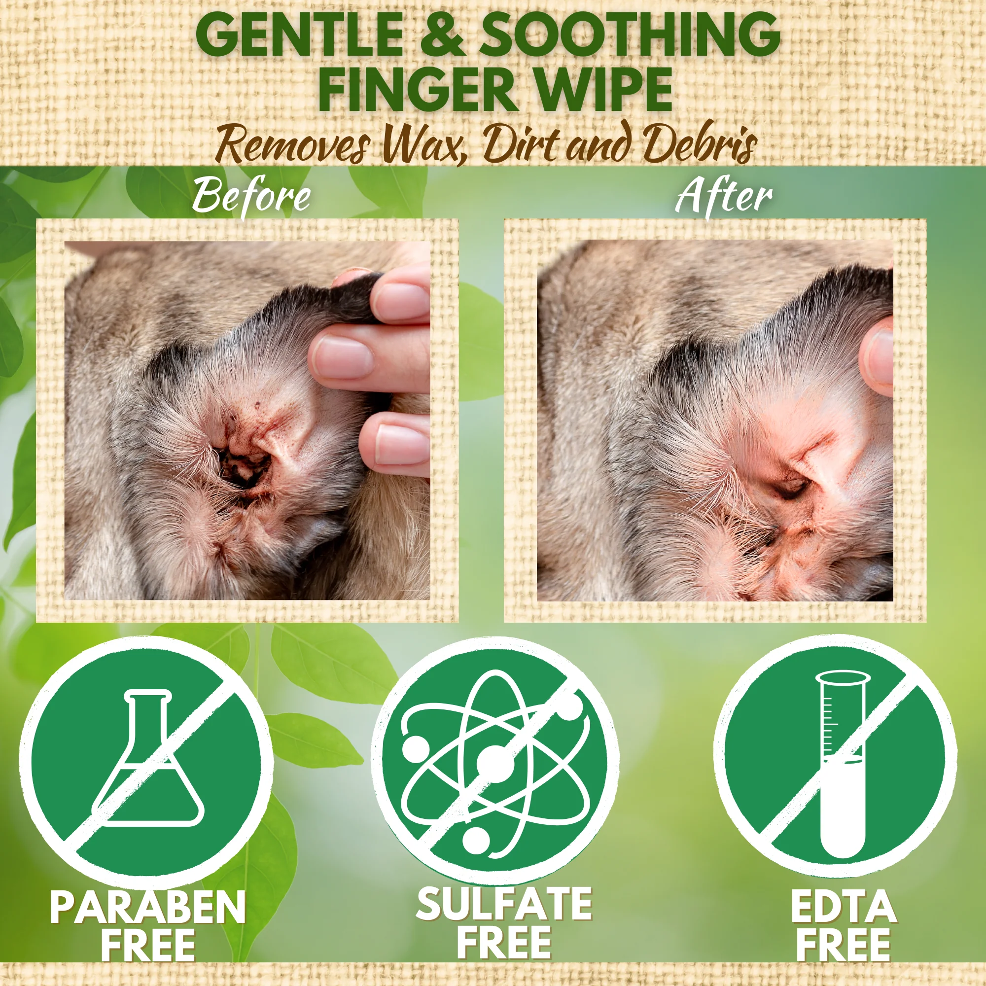 Dog Ear Wipes - Dog Ear Cleaning Wipes by EcoBark - Naturally Coconut Scented - 50 Count Finger Wipes For Puppies and Dogs - Image 3