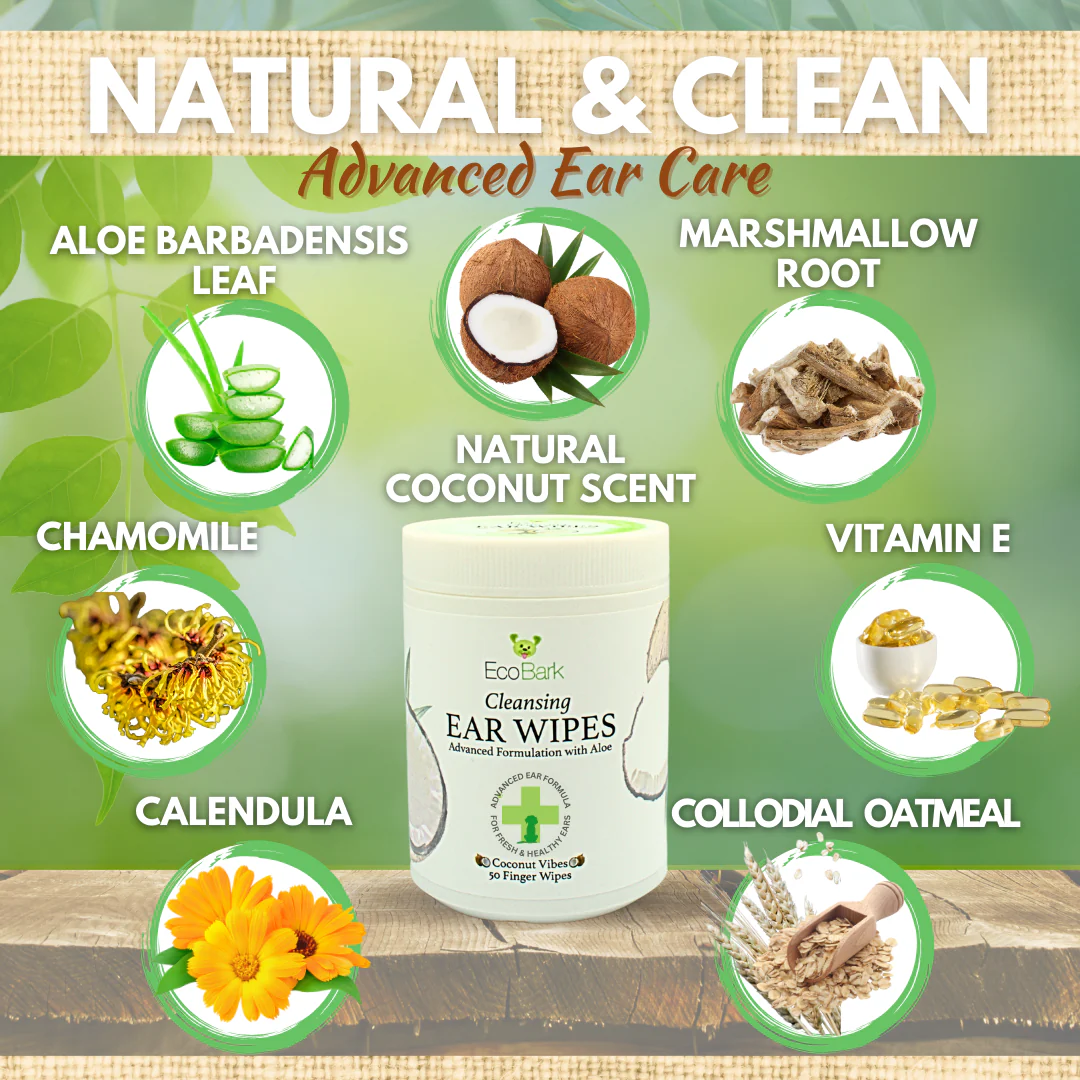 Dog Ear Wipes - Dog Ear Cleaning Wipes by EcoBark - Naturally Coconut Scented - 50 Count Finger Wipes For Puppies and Dogs - Image 4