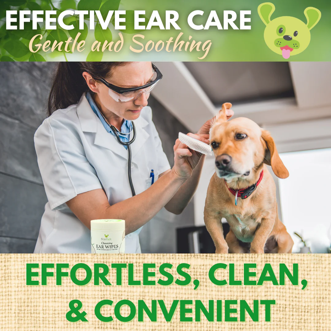 Dog Ear Wipes - Dog Ear Cleaning Wipes by EcoBark - Naturally Coconut Scented - 50 Count Finger Wipes For Puppies and Dogs - Image 7