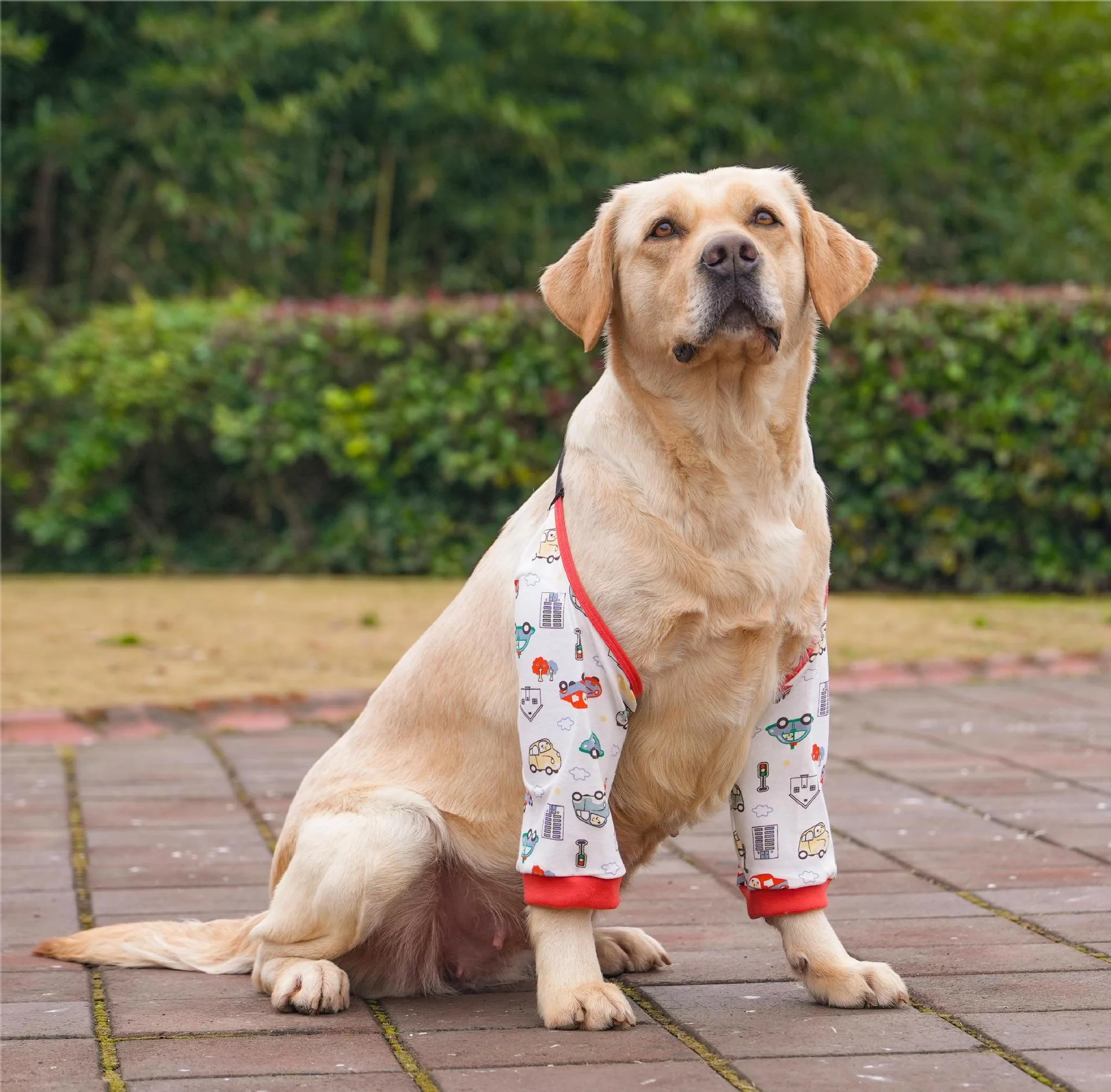 Dog Elbow Protector Sleeves - Image 2