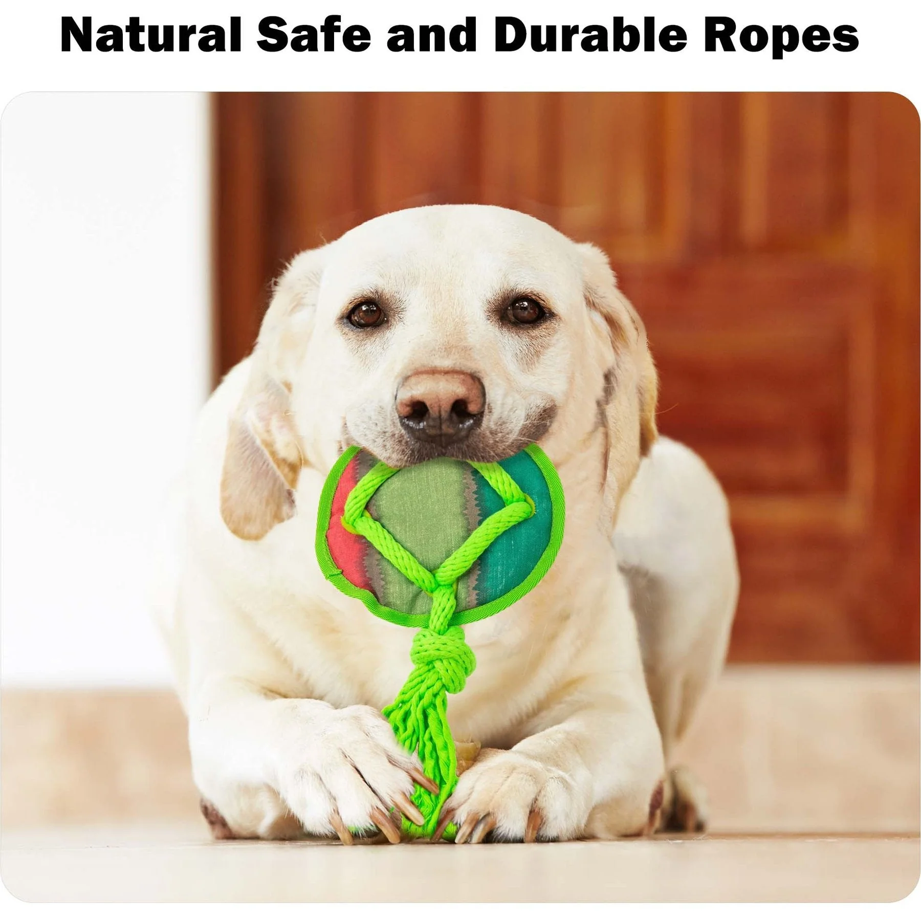 Dog Fetch Toy - Rope Tangle Tangle Disc - Image 3