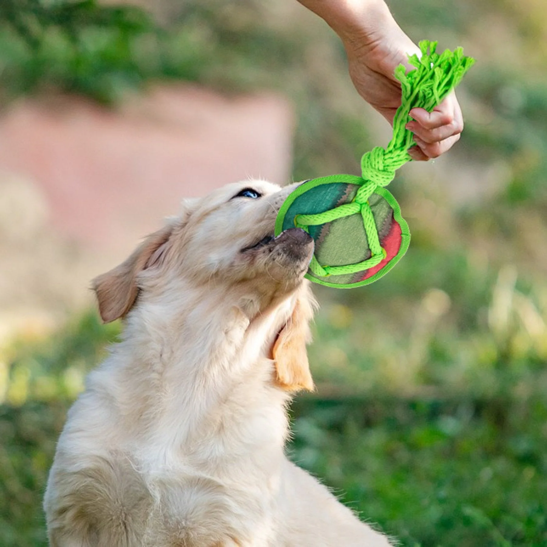 Dog Fetch Toy - Rope Tangle Tangle Disc - Image 4