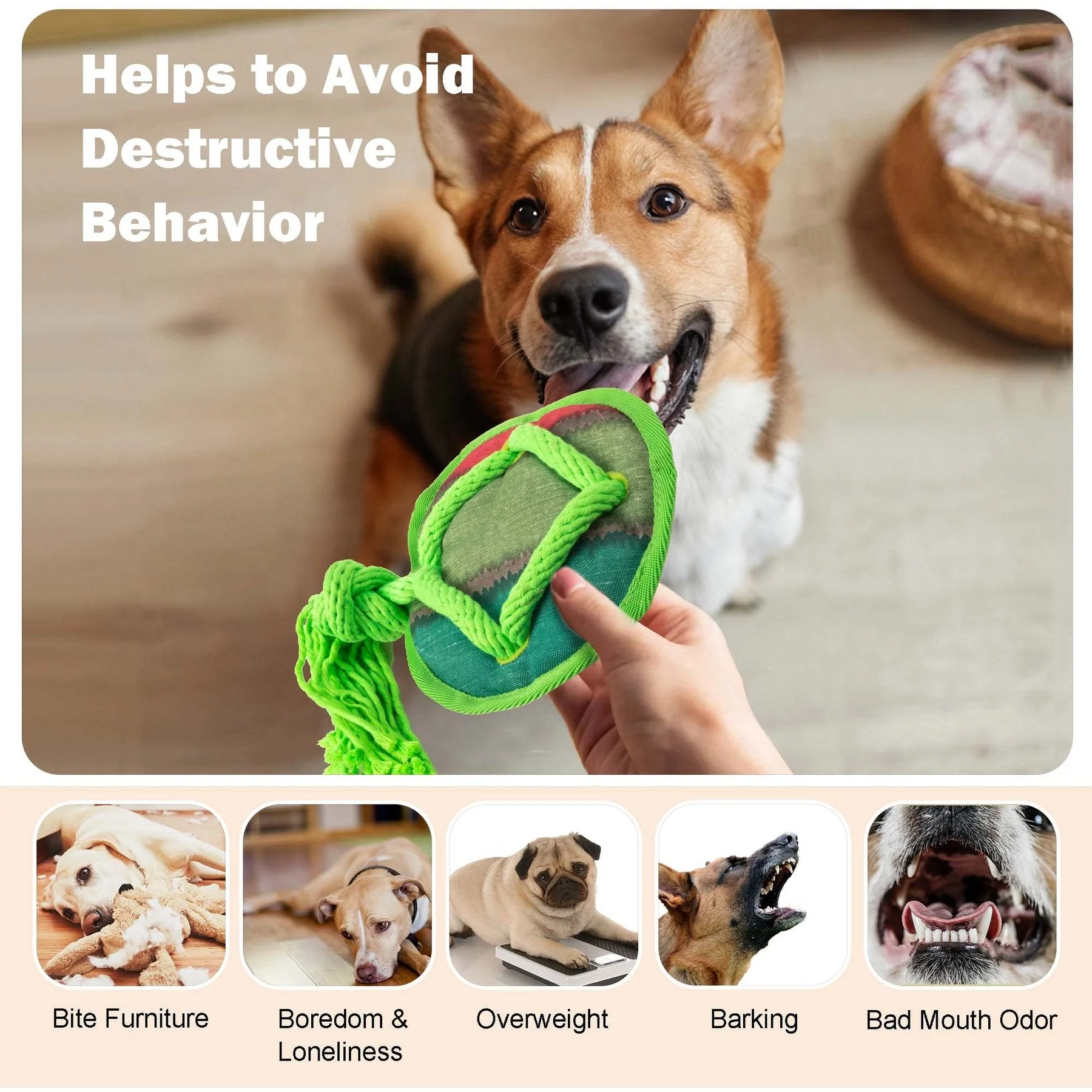 Dog Fetch Toy - Rope Tangle Tangle Disc - Image 5