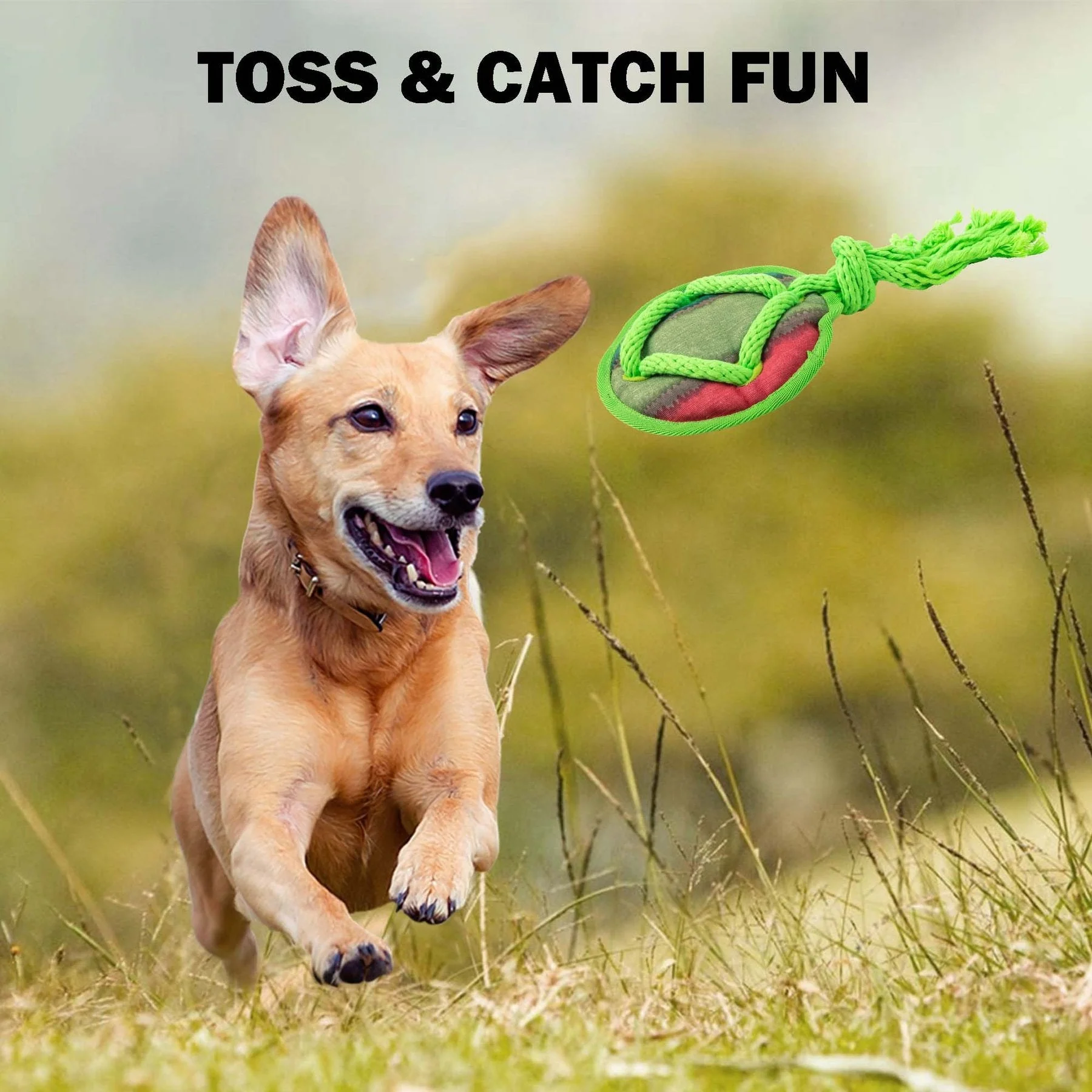 Dog Fetch Toy - Rope Tangle Tangle Disc - Image 7
