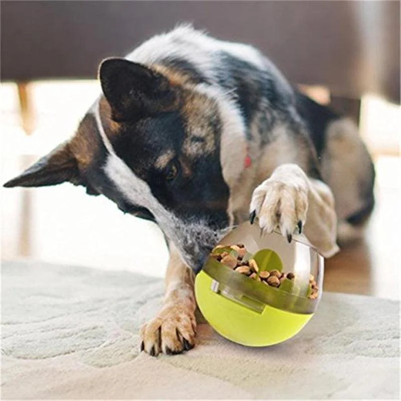 Dog Food Leaking Ball Toy - Image 2