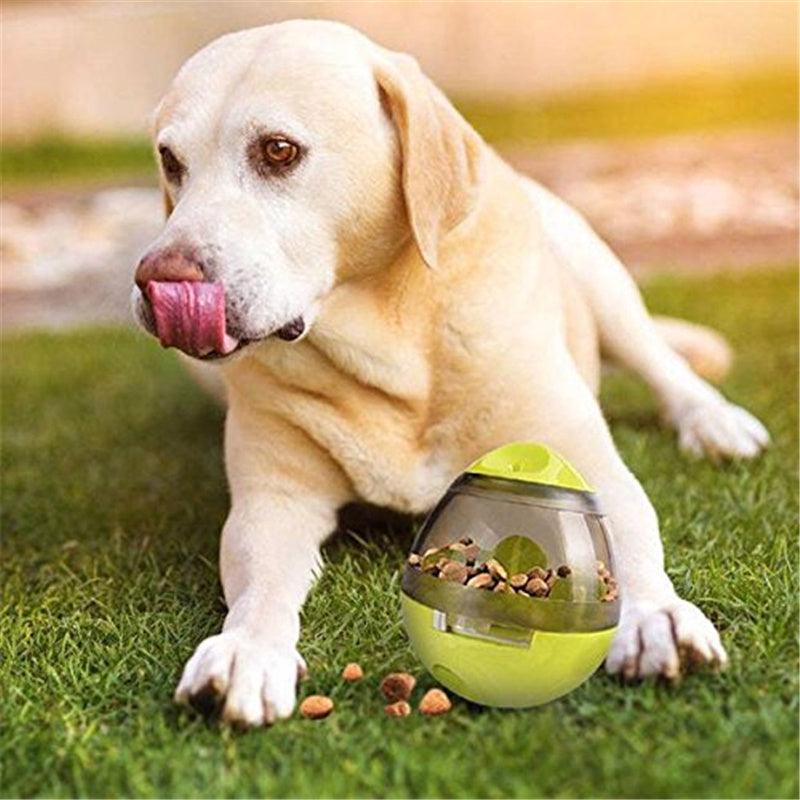 Dog Food Leaking Ball Toy - Image 9