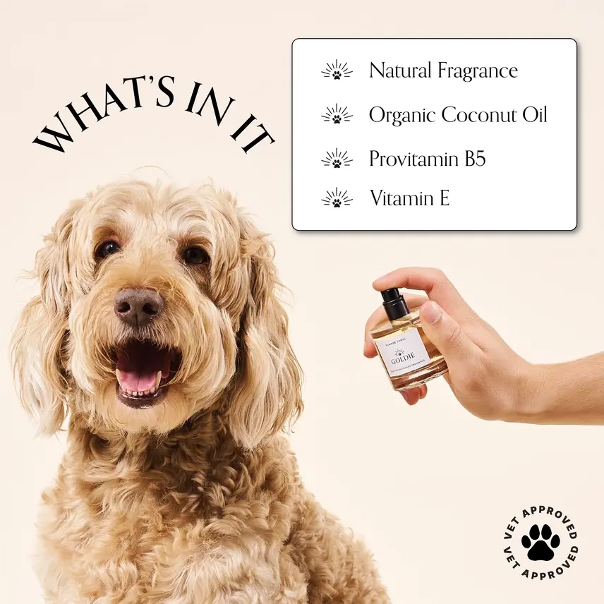 Dog Fragrance - Summer Tonic - Image 2