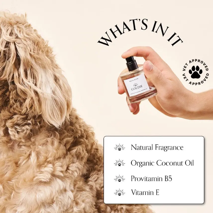 Dog Fragrance - Youth Elixir - Image 2