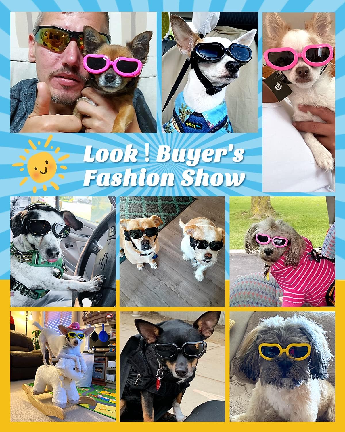 Dog goggle cute style 4 colors - Image 6