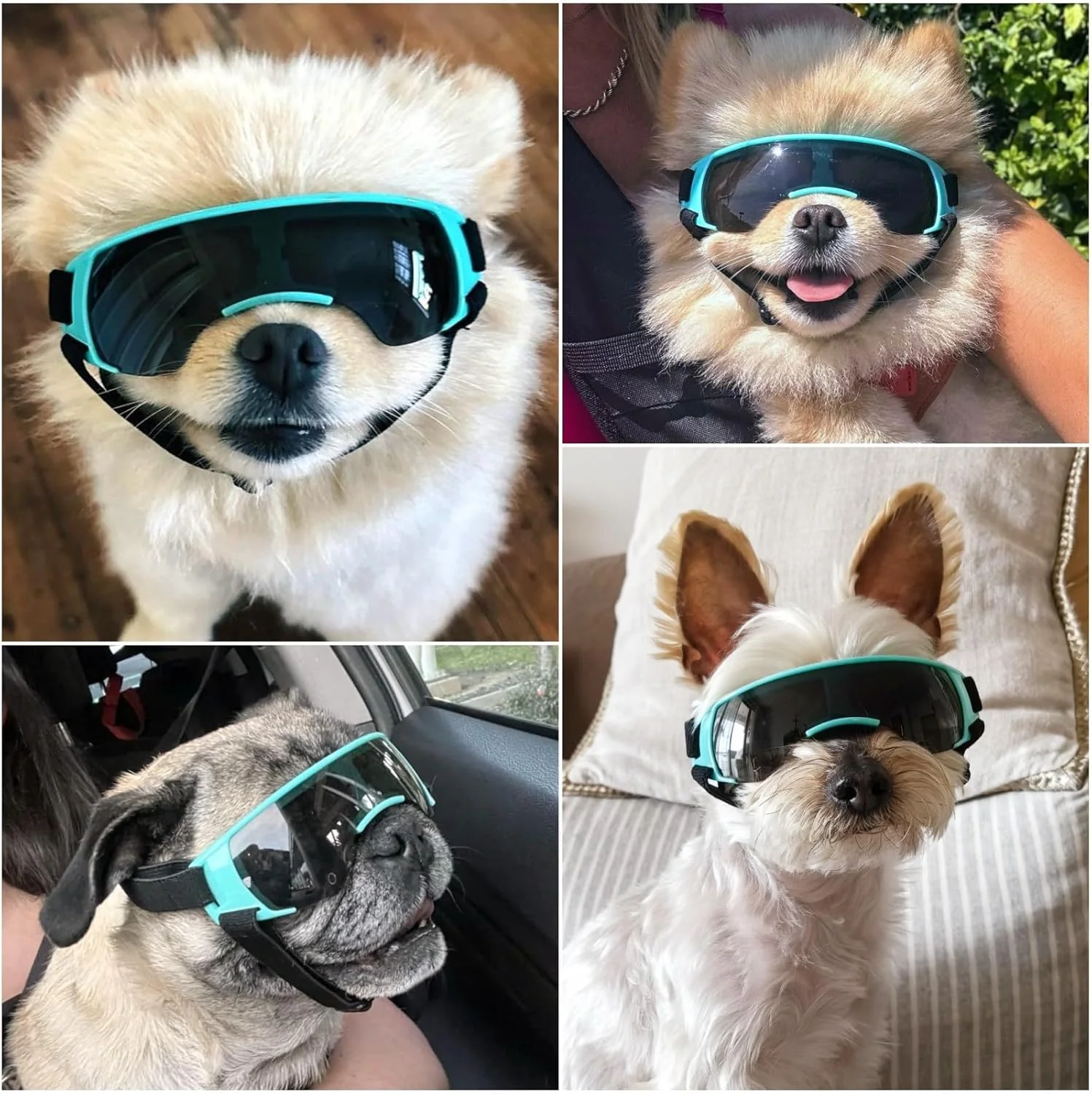 Dog goggle space style for Small Dog - Image 10