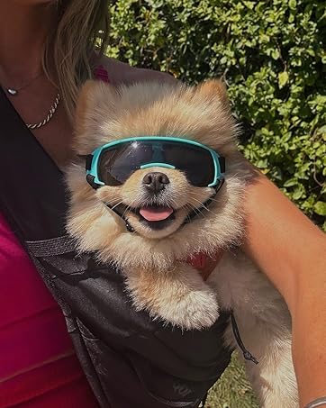 Dog goggle space style for Small Dog - Image 2