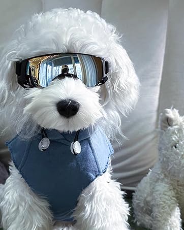 Dog goggle space style for Small Dog - Image 3