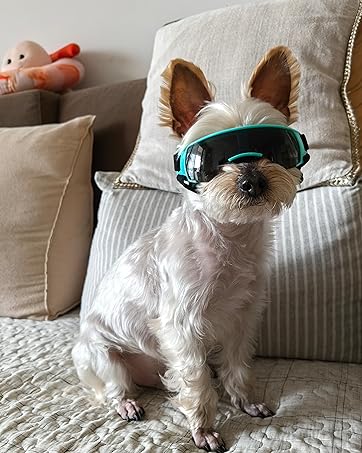 Dog goggle space style for Small Dog - Image 8