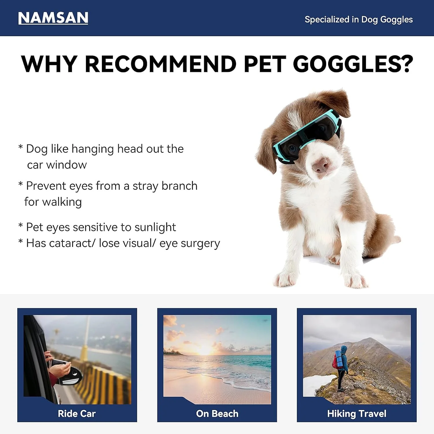Dog goggle space style for Small Dog - Image 9