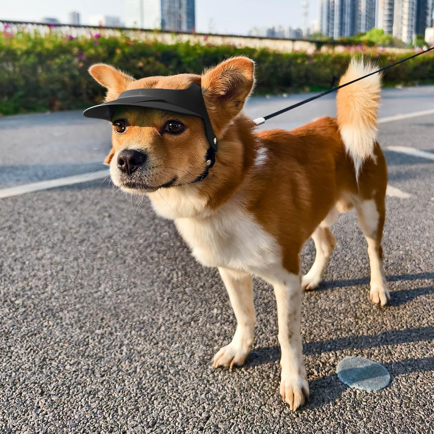 Dog goggle+sunhat sets 3 color - Image 7