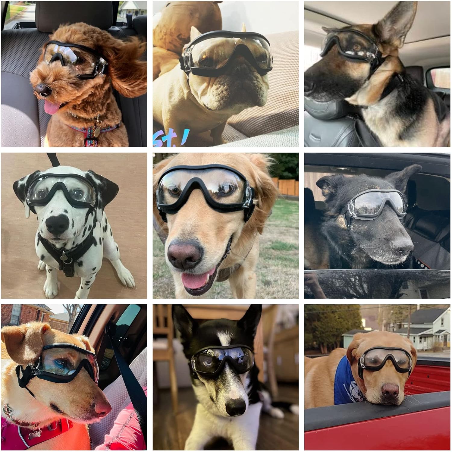 Dog goggles anti UV skiing sunglasses - Image 12