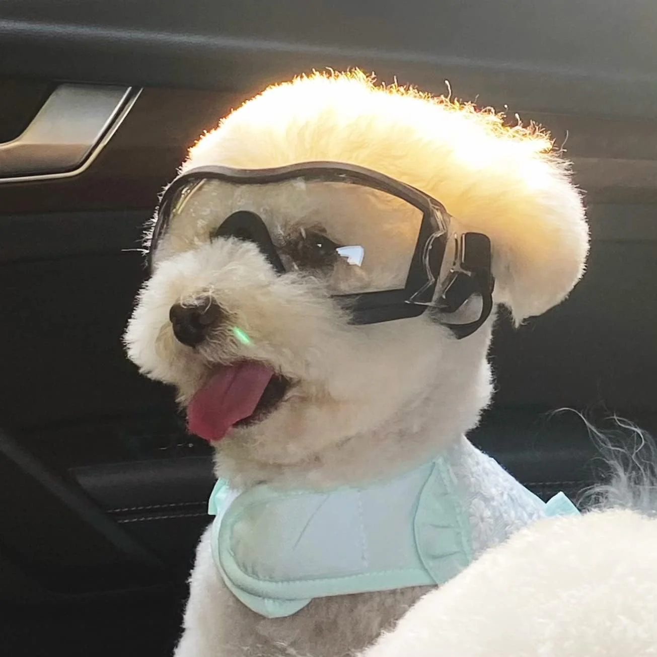Dog goggles anti UV skiing sunglasses - Image 13