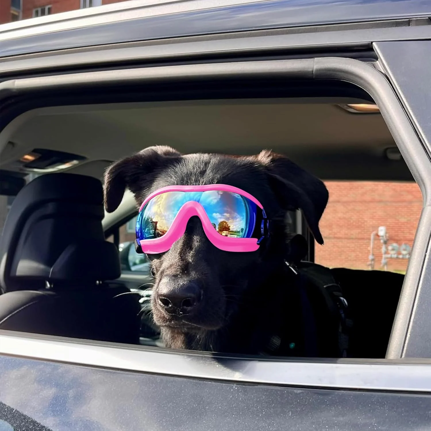 Dog goggles anti UV skiing sunglasses - Image 15