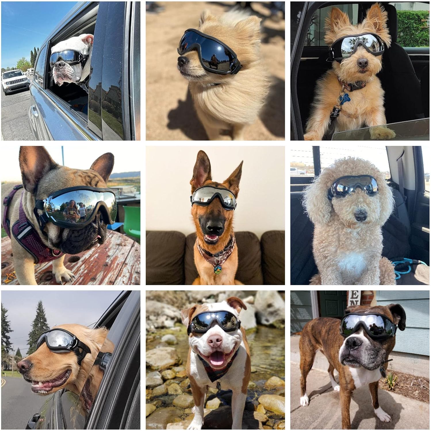 Dog goggles anti UV skiing sunglasses - Image 5