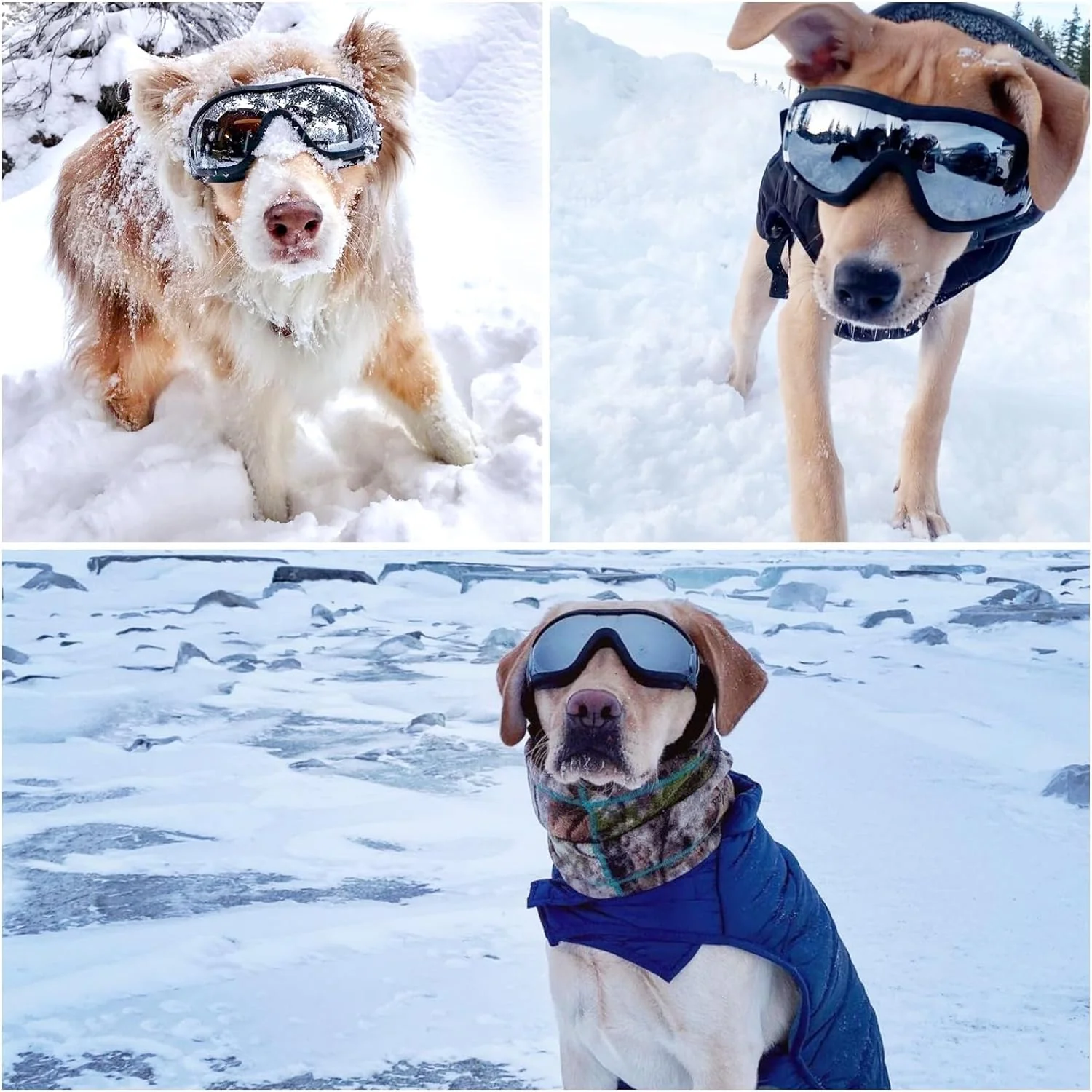 Dog goggles anti UV skiing sunglasses - Image 6