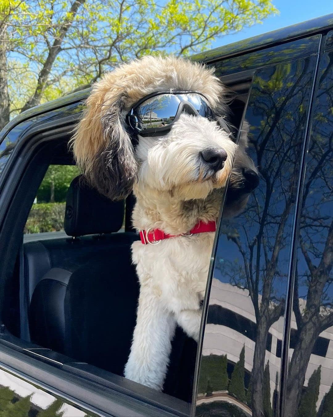 Dog goggles anti UV skiing sunglasses - Image 7