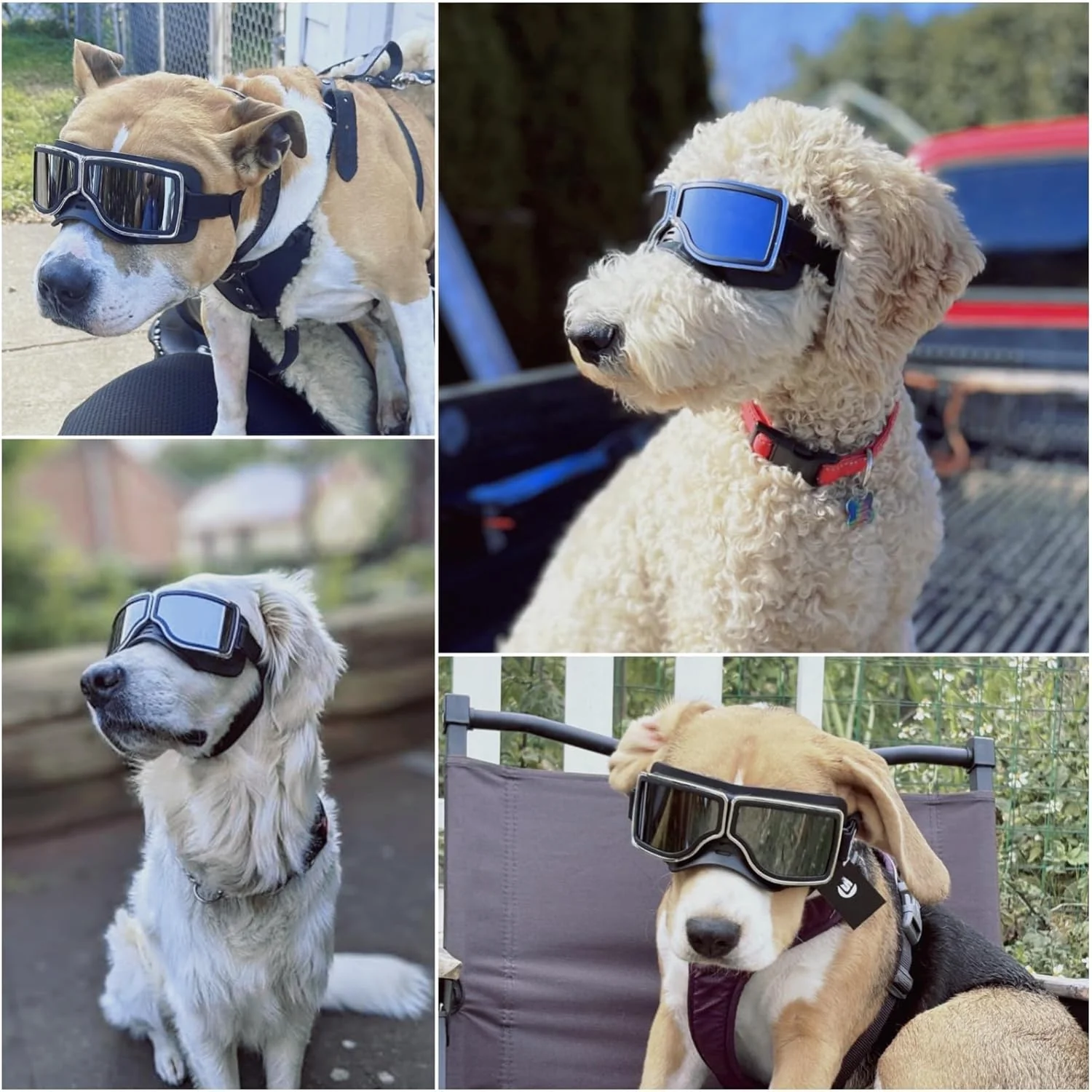 Dog Goggles Medium to Large Breed Pilot Style - Image 8