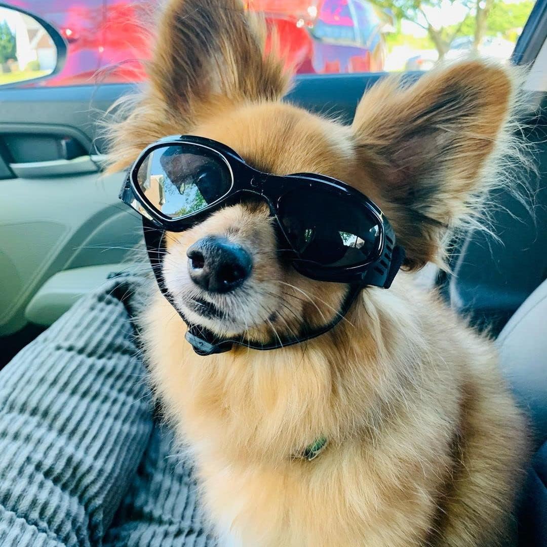 Dog goggles sunglasses cool accessories - Image 13