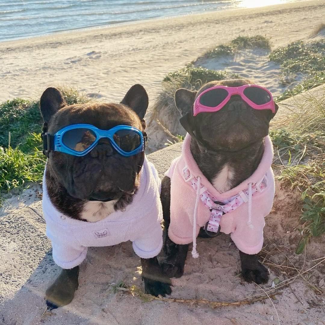 Dog goggles sunglasses cool accessories - Image 16