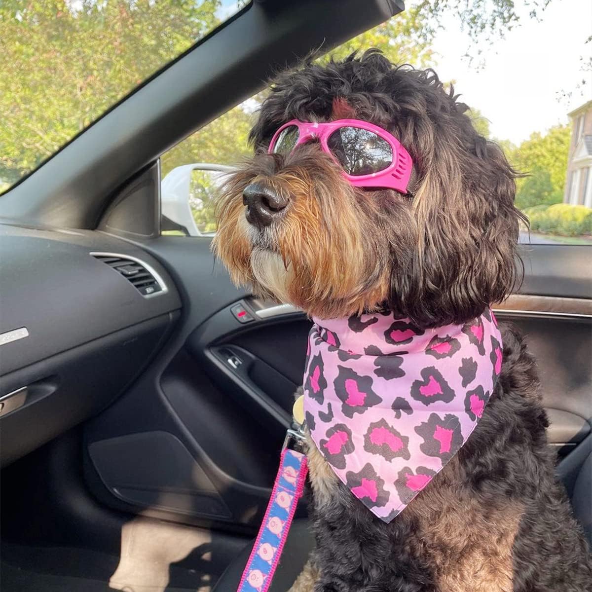 Dog goggles sunglasses cool accessories - Image 17