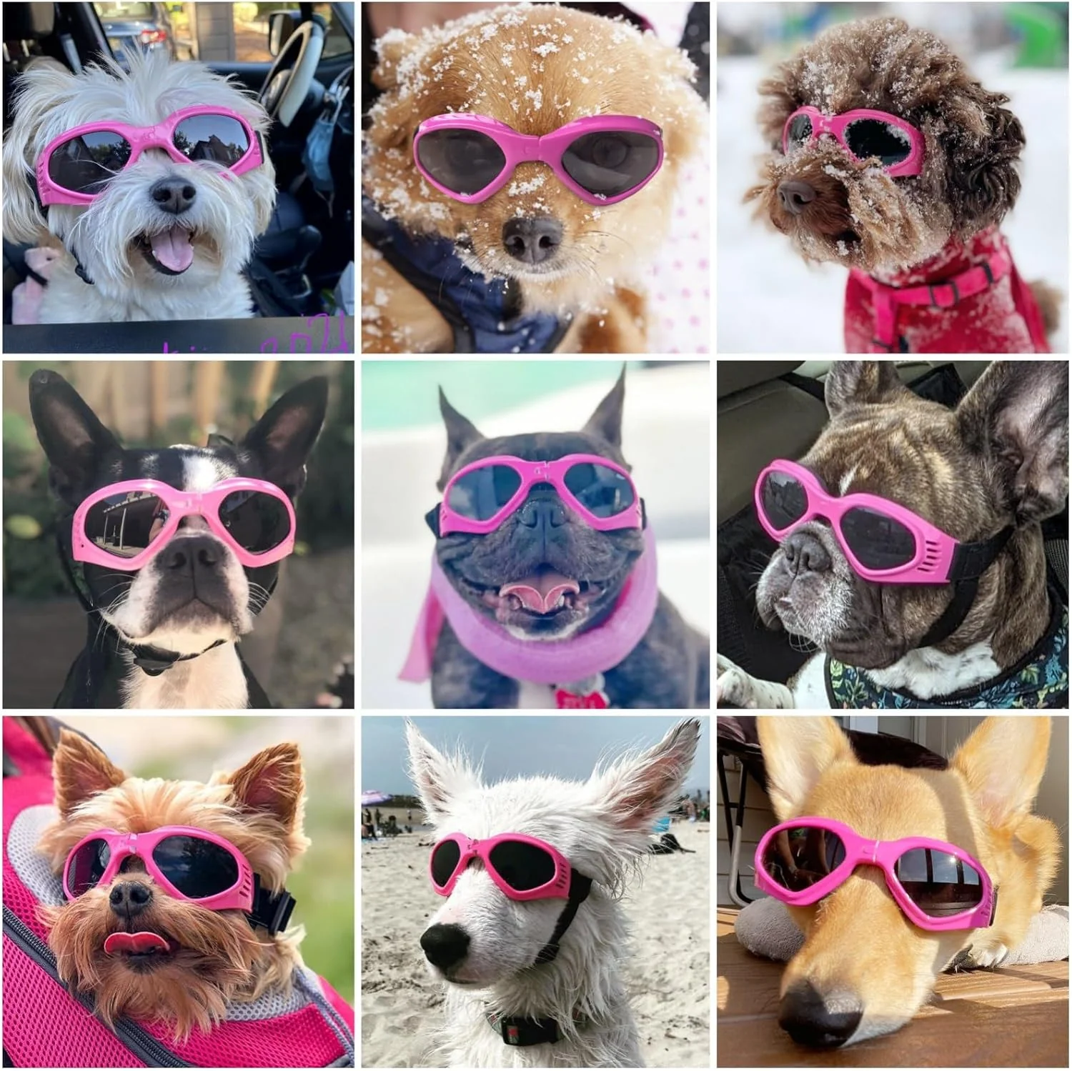 Dog goggles sunglasses cool accessories - Image 18