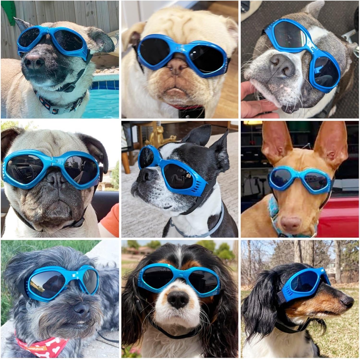Dog goggles sunglasses cool accessories - Image 19