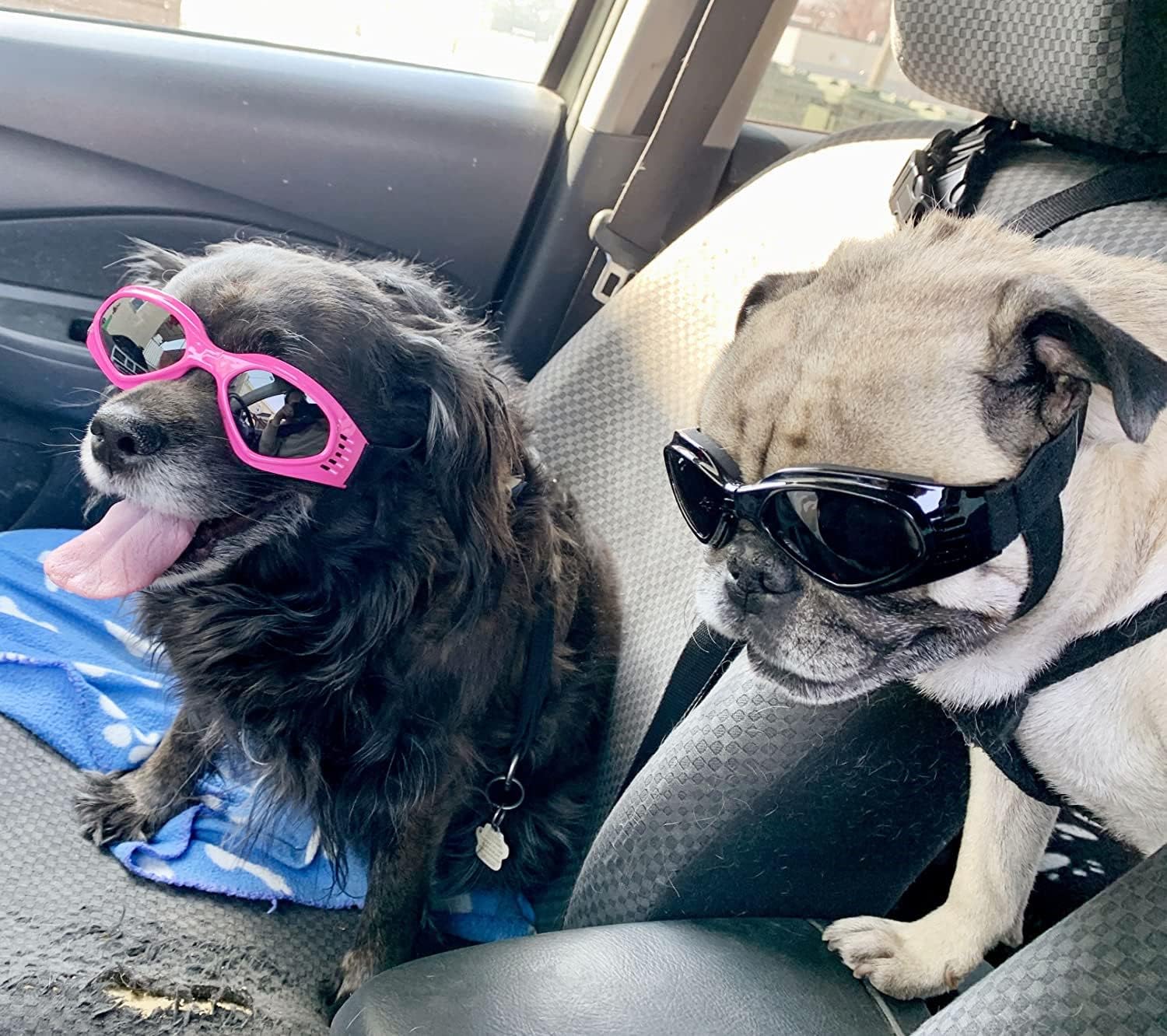 Dog goggles sunglasses cool accessories - Image 20