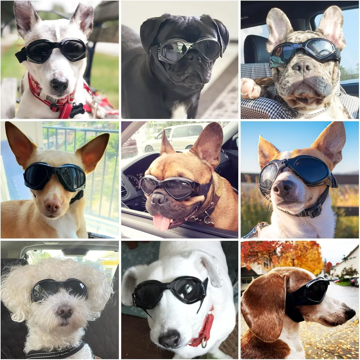 Dog goggles sunglasses cool accessories - Image 21