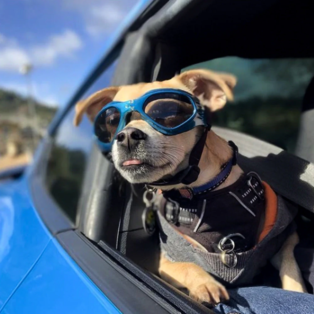 Dog goggles sunglasses cool accessories - Image 4