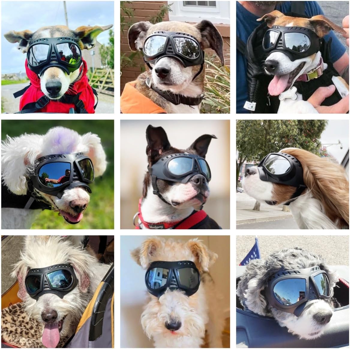 Dog goggles sunglasses skull - Image 5