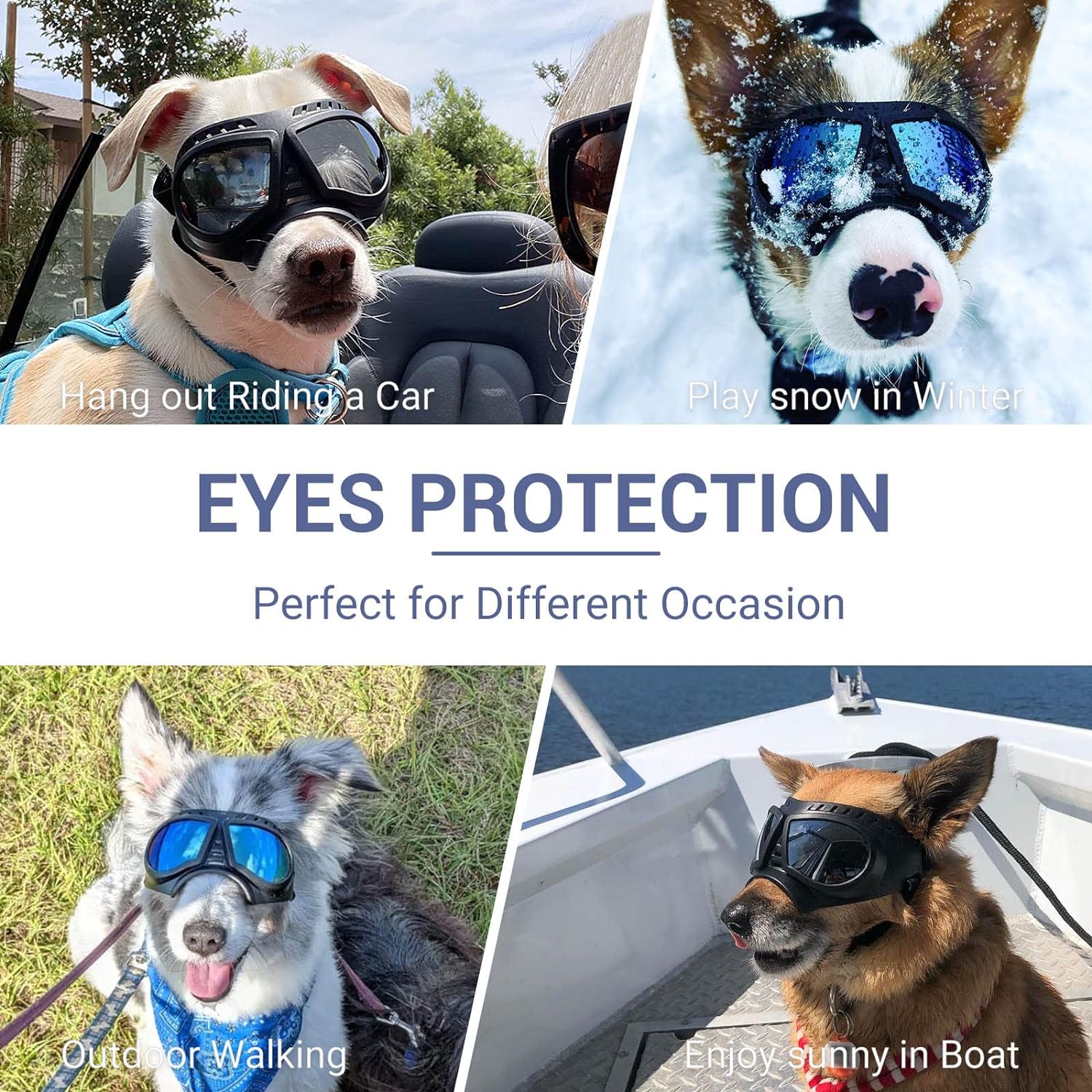 Dog goggles sunglasses skull - Image 8