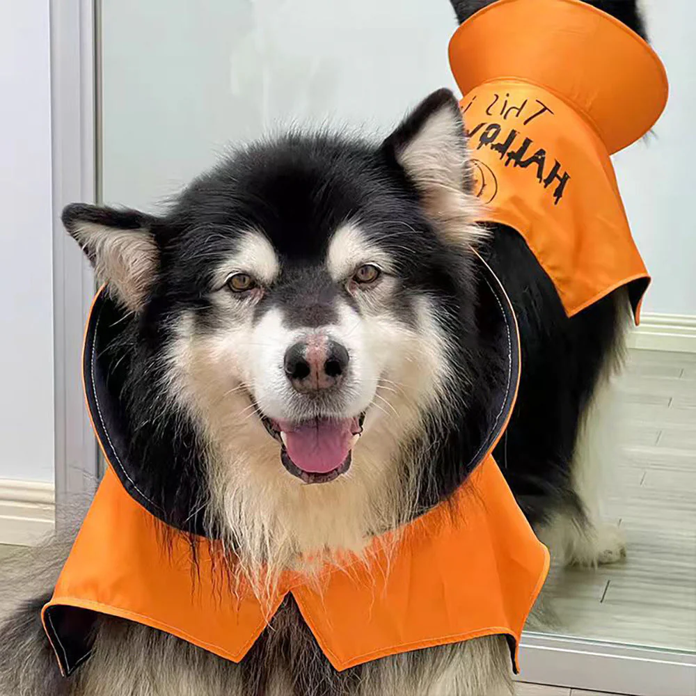 Dog Halloween Cape with Pumpkin Print & High Collar - Image 3