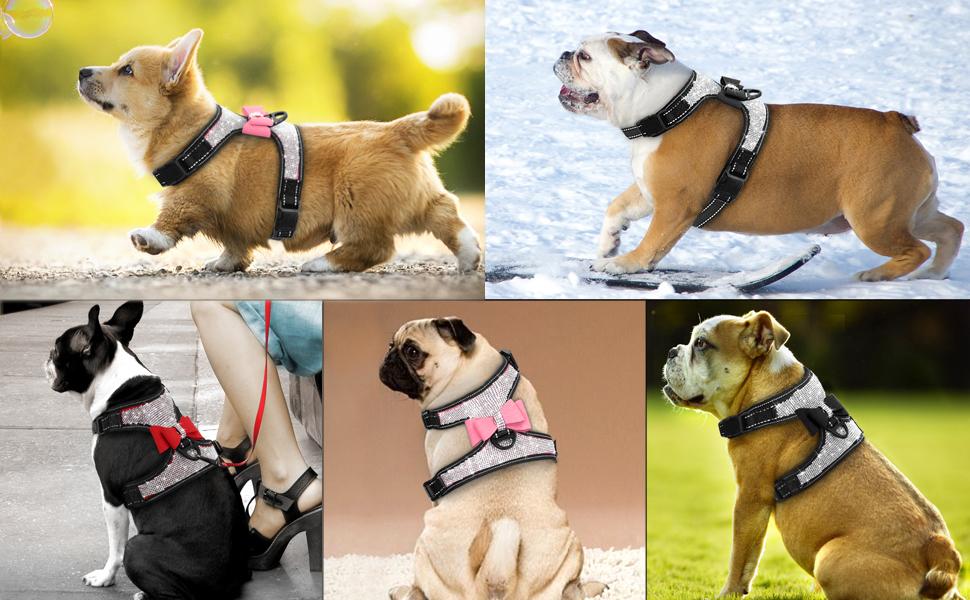 Dog Harness+Leash Sets with Rhinestones – Sparkly Bowknot & Reflective Trim - Image 10