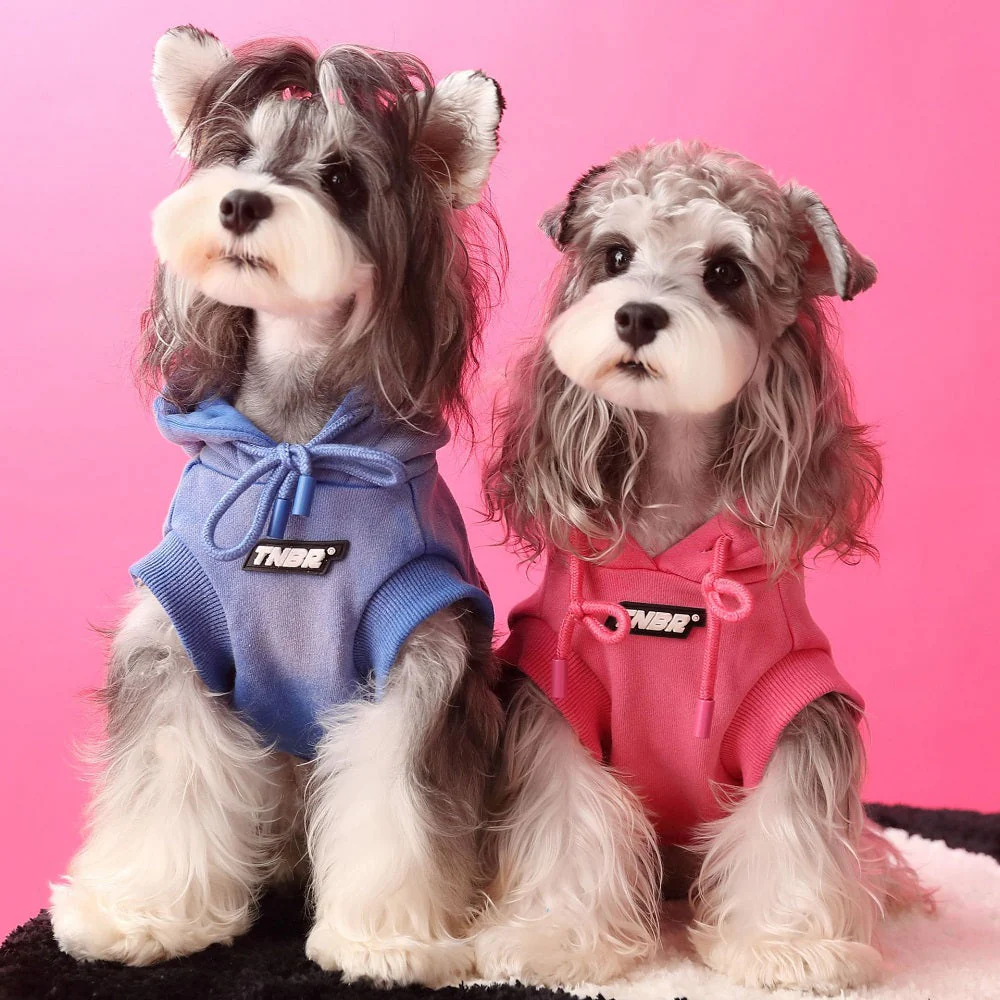Dog hoodie cool 2 - Image 3